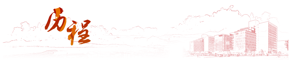 公司历程.png